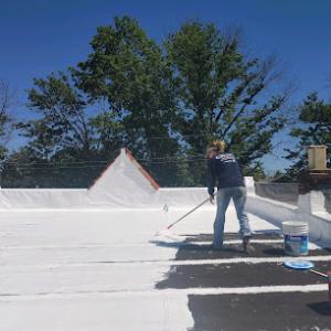 BluDog ROOFING