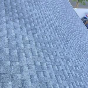 Lionshield Roofing Company