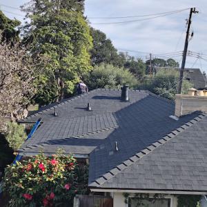 Planchon Roofing