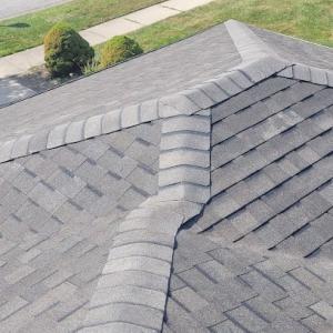 Roofing caguana
