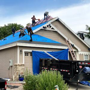 Blue Spruce Construction Group