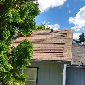 Dreamroofs