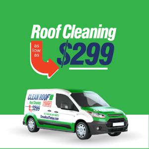 Clean Roof Today