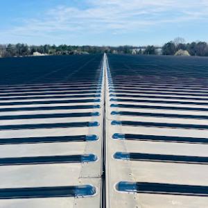 Professional Grade Roofing
