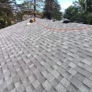 Detroit Roofers of Belleville