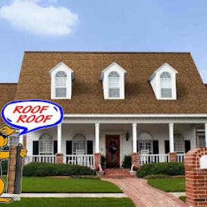 Martin's Roofing Dog
