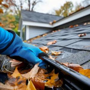 Tony's Roofs