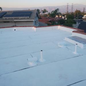 Everguard Roofing & Construction