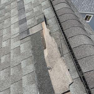 Rhino Shield Roofing & Construction