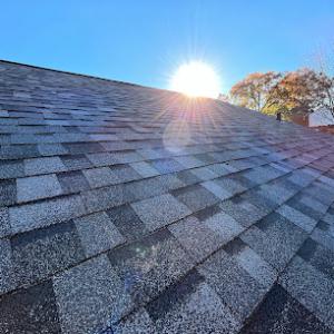 Ragnarok Roofing