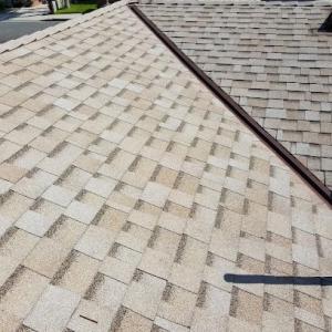 Delta Roofing