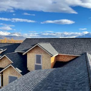 TOPP Roofing & Construction