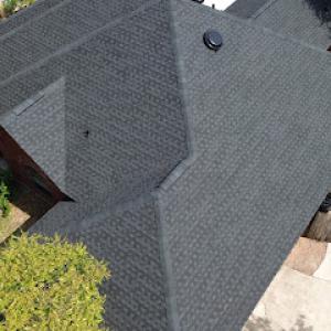 Top Notch Roof Pros