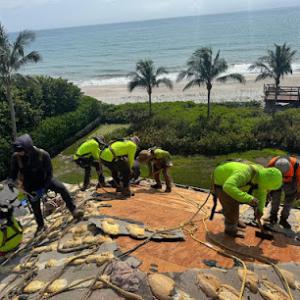 JV Eagle Roofing & Waterproofing