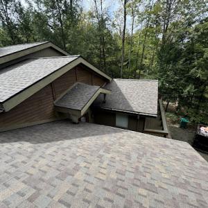 Roof Leopard