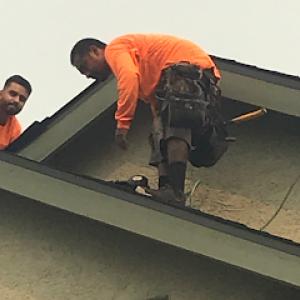 Lucas Roofing