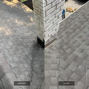 Big Cat Roofing