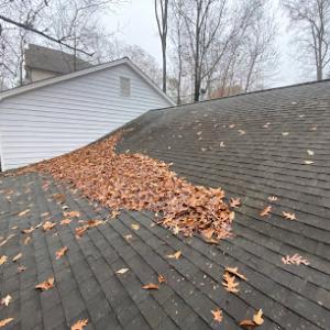 The Roof Company