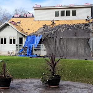 Buffalo Fresh Roof
