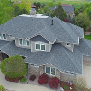 Bulldog Roofing