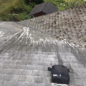 Corradini LLC Roof Restoration & Exteriors Ca#1116143