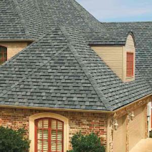 Bulldog Roofing & Repairs