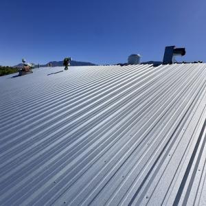 Dynasty Roofing