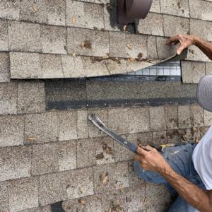 Dino Roofing Services