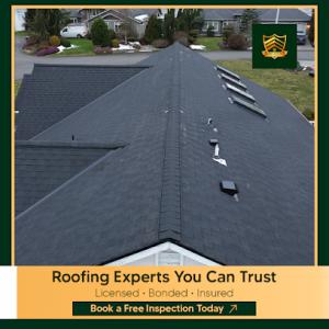 Expert Roofing Contractors