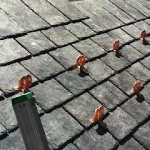 Lyons Contracting