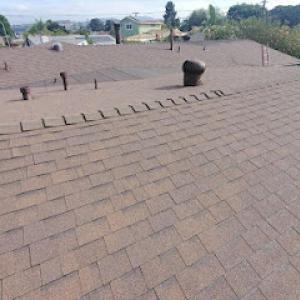 Martin Roofing