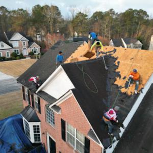 Roof Bullies