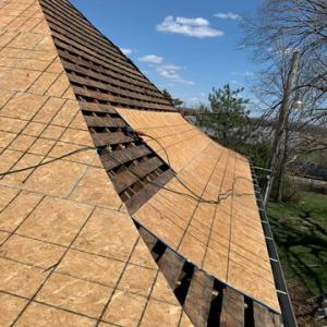 Romo Roofing