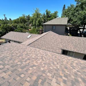 Noah's Roofing