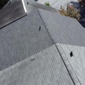 The Shingle Master