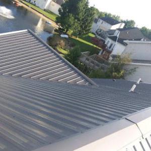 The Roof Sharks