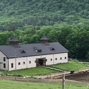 Briggs Roofing