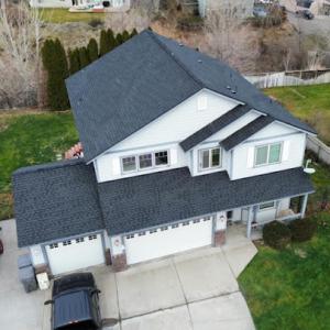 D Vine Roofing