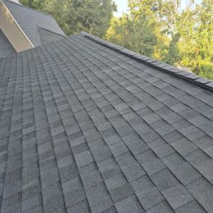 1st Amazon Roofing & More