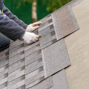 Red Fox Roofers