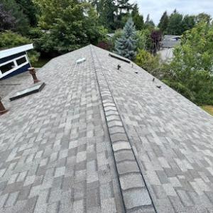 Atrax Roof & Gutter