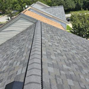 Leopard Roofing
