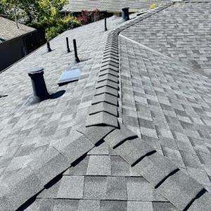 Western Roofing Systems