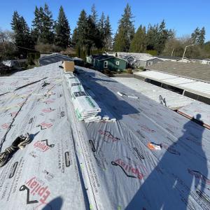 Mr Roof Pro