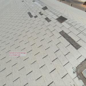 Mighty Dog Roofing East Valley