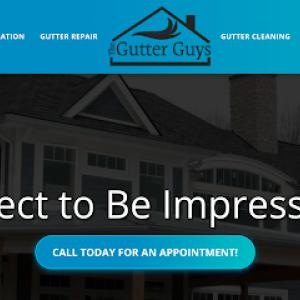 The Gutter Guys & Gals of Michigan