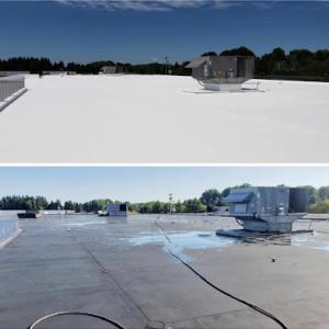 Professional Roofing
