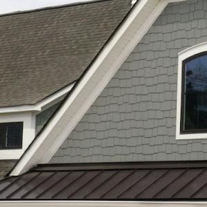 Scout Roof Rescue