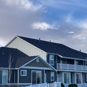 Top Dog Roofing