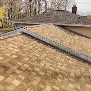 Dynamic Roofing Solutions